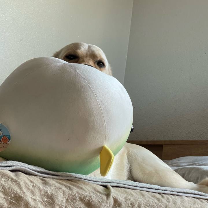 Acd1e5a1 352e 40e5 b00d 5dabc91a61ad 1660523491149