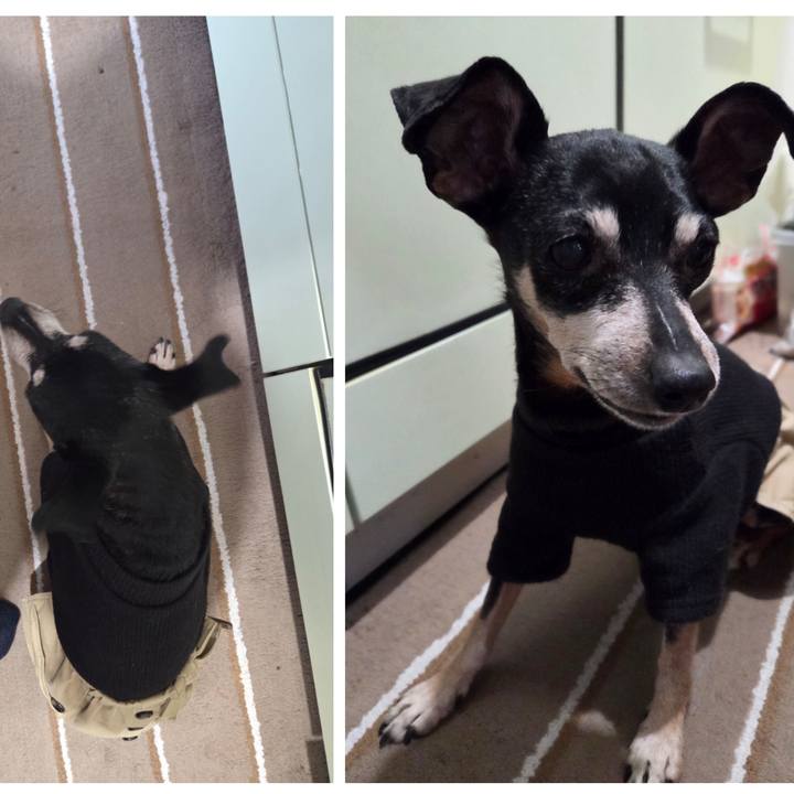 Acd1f2be dc7a 48ba 80df d4114ed4cd91 1767143671745