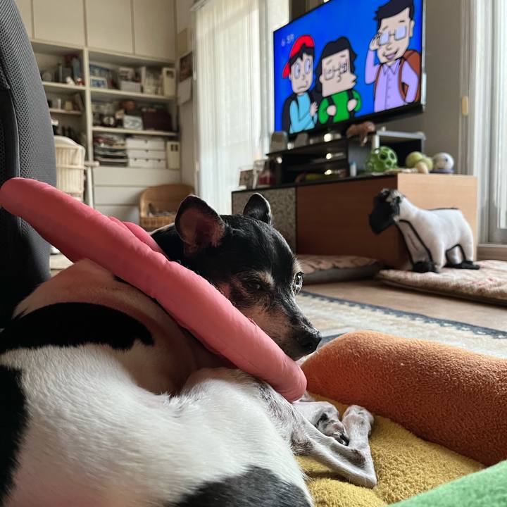 Acd1f8b6 f675 4d5c 9e89 3febcf7c10c3 1638438042867