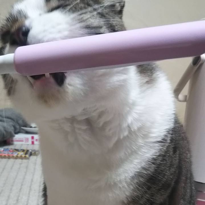 Acd20ae7 7b9c 49e6 a7ce ac6eaaedccd0 1614939433500