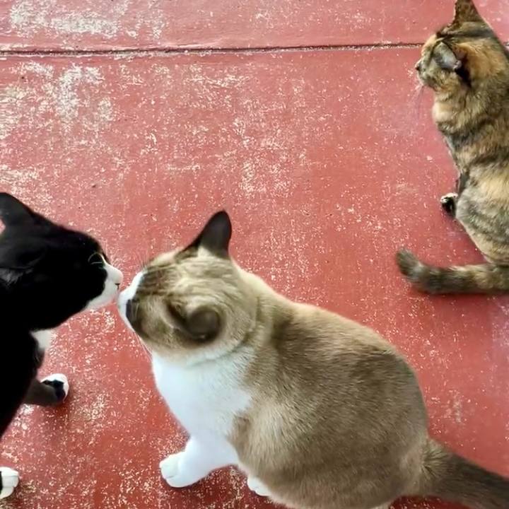 Acd2377b 6871 49d7 9a34 b6a0642376eb 1732260045500