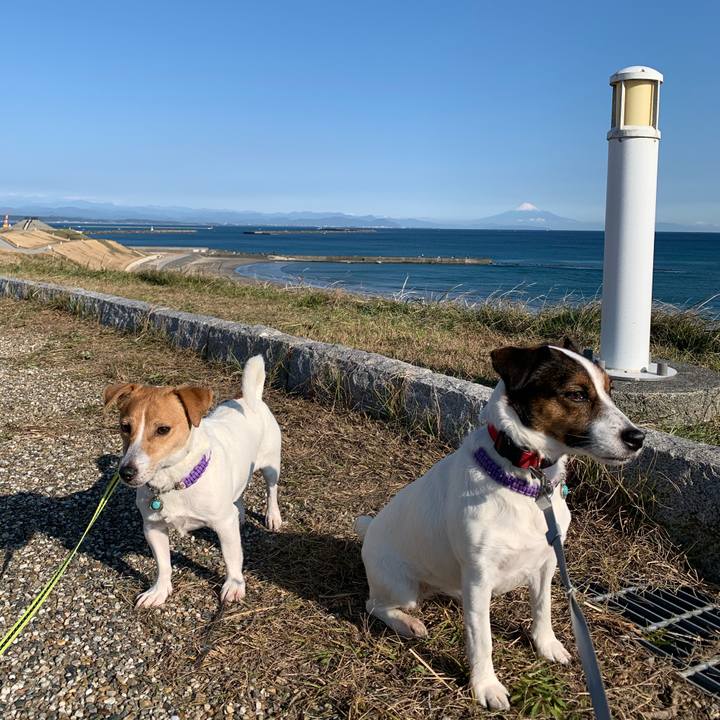 Acd25608 225f 4f59 9562 53cf5ddda23c 1576297181797