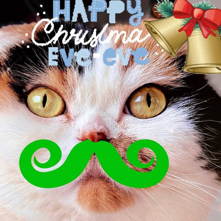 Acd26e67 26f7 4db5 bc0a 9256fededc04 1671836439356