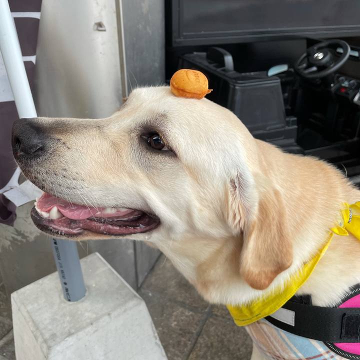 Acd2898b af5b 42c4 95b4 1134c3bb2352 1625733715720