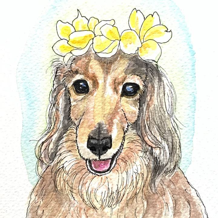 Acd2984c 0b5e 45d7 9d7d 02dd738fdb82 1583138249253