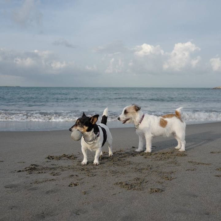 Acd2b97a 2e7b 43c9 a43e 82602b597bd8 1509596019592