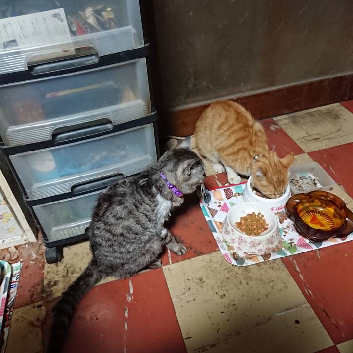 Acd2cc61 caa9 4d0f a4b2 6caf9a20f1b1 1591644450103