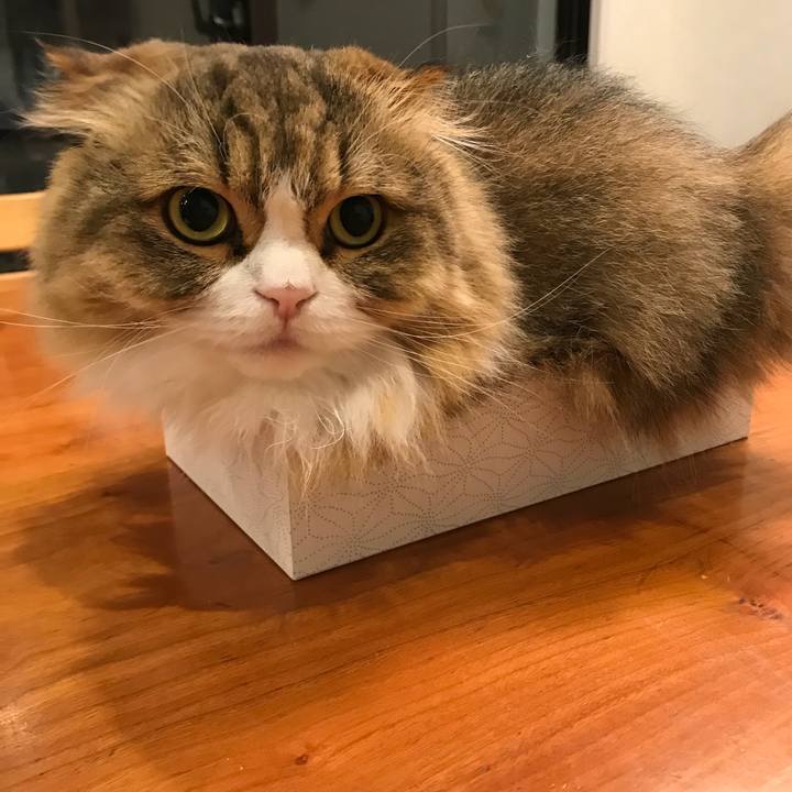 Acd2fba2 b547 44aa bb78 4063bc68e330 1528720227983