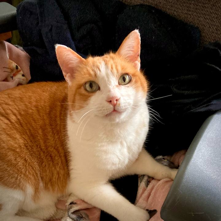 Acd31398 43ff 45dd a48a cba35317fdc1 1647449605987