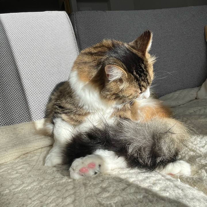 Acd340ab a8fa 4e09 8eb0 60edc2e69fac 1767416732294