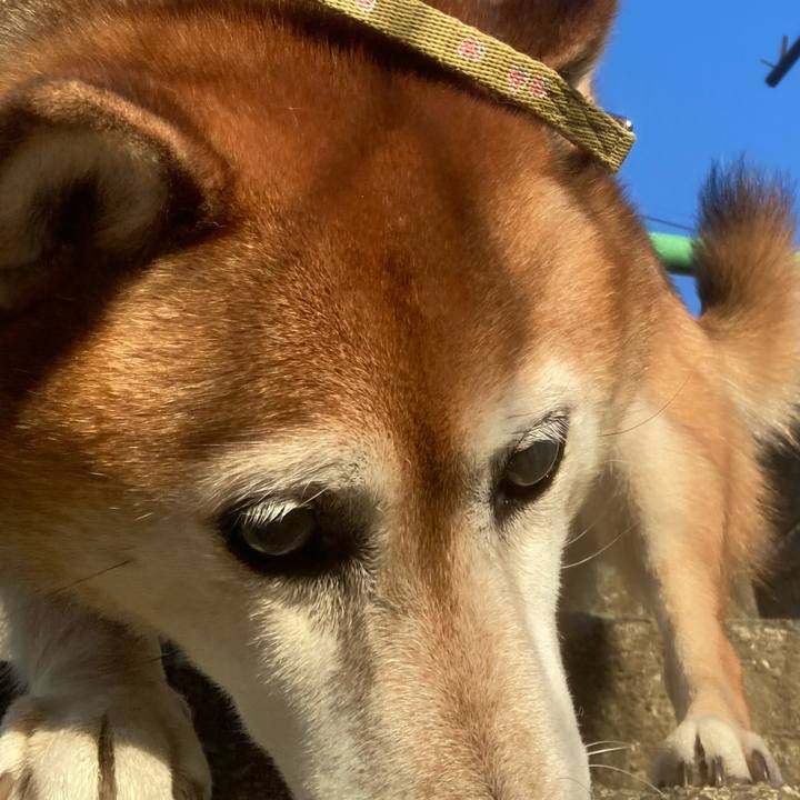 Acd3478c d08b 45a3 add7 8521db8cdebc 1701301721709