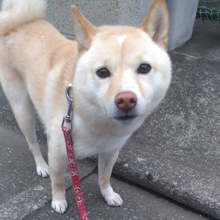 Acd357f8 650e 4d99 ac4e f151ffc09eaf 1559292323357