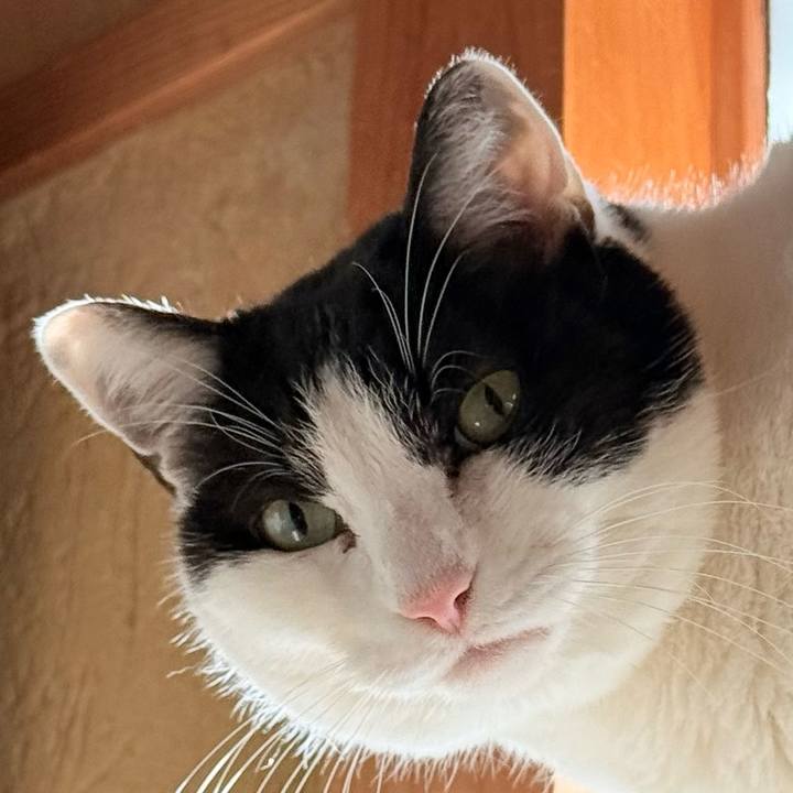 Acd37761 60e2 4e37 99cc d6b67f636d2c 1738635819539