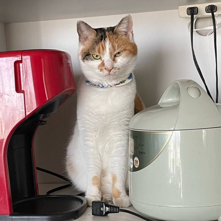 Acd3d1ff e114 4746 b85a 8f0f79cddb2f 1709091267191