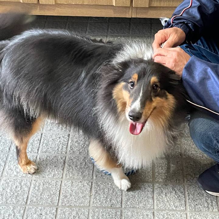 Acd3e1cd 2c89 4a62 adf8 08591682a867 1636604580252