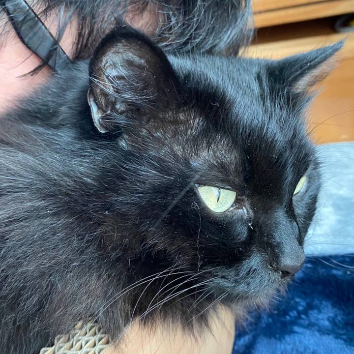 Acd416d5 e9da 406a a2e7 ccb78c098ff8 1581417130076