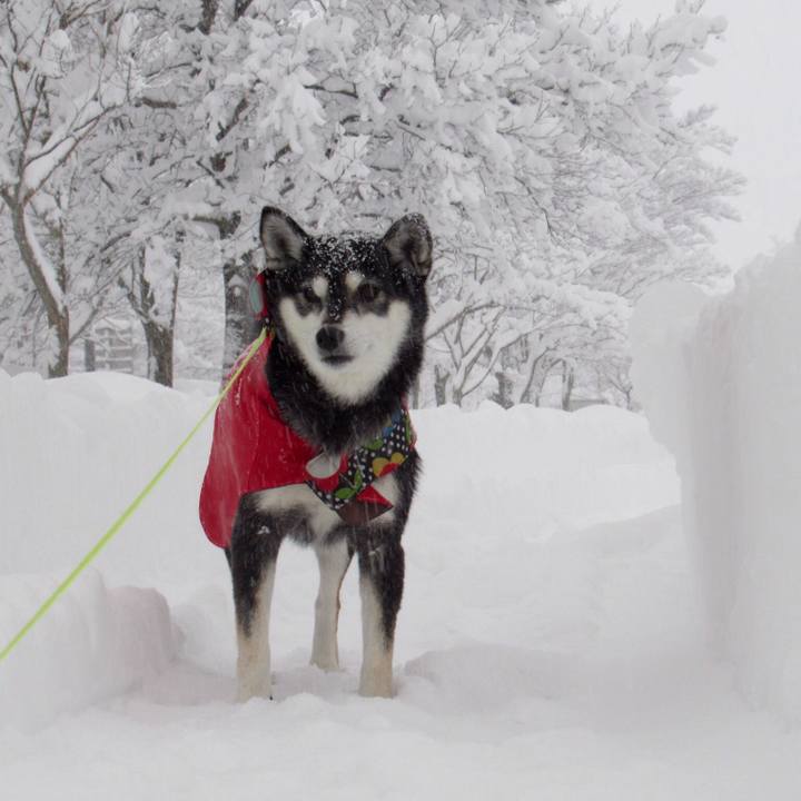 Acd47593 8307 420a 980c 90e561e2282c 1610925161217