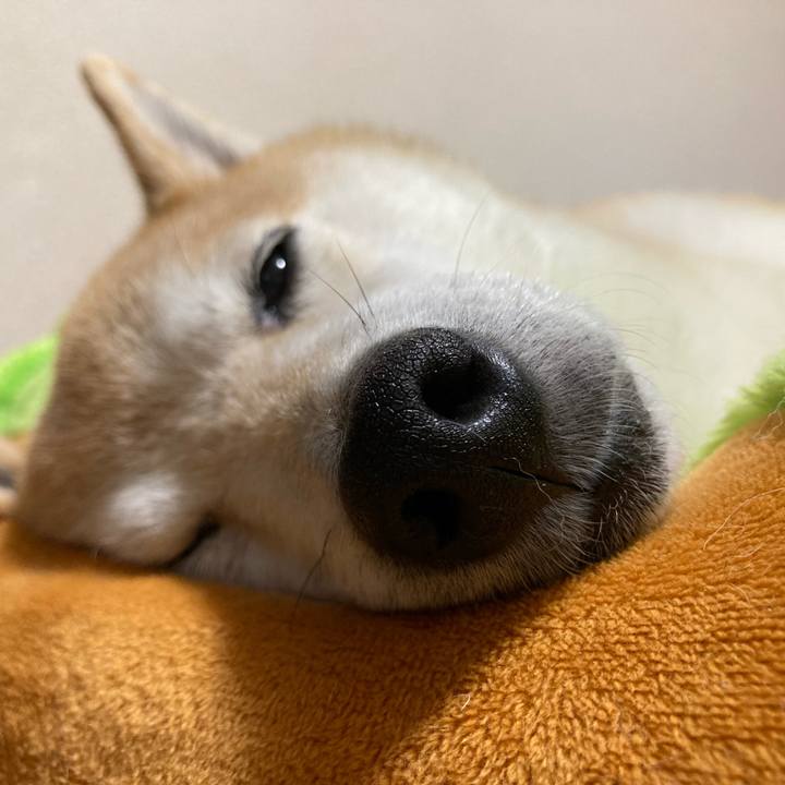 Acd4ae0e ba7c 42f8 99c9 b7d498e5d31c 1633091473866