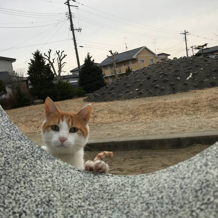 Acd4b8a2 c78f 4da1 811c dd2e499d54b1 1514082377294