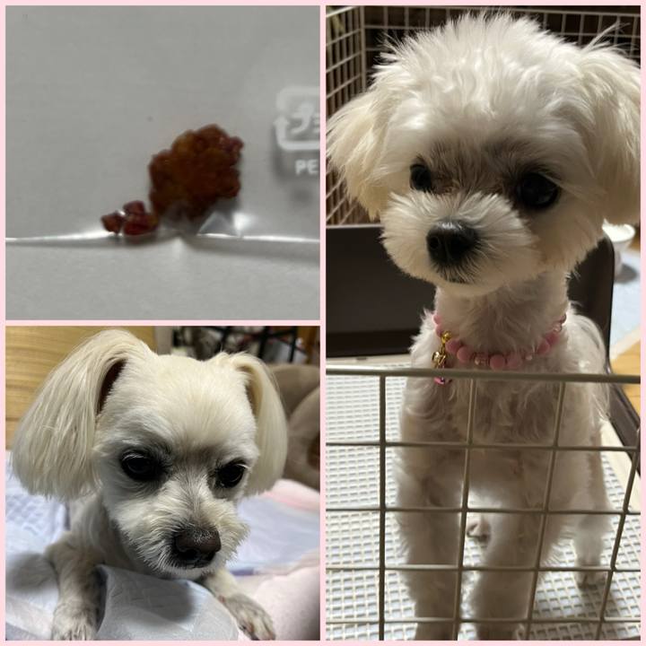 Acd4f0ac bbee 463a 84e0 a49ddece0757 1718269134647