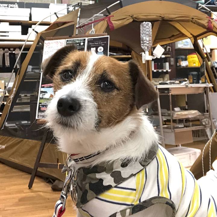 Acd4fada 512f 4a27 986d 1152c6a2fb19 1523965508137