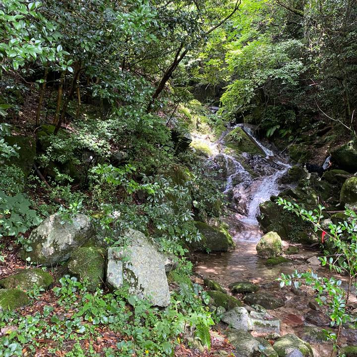 Acd535bf 221d 4d0a 99d3 b5a26ce340b8 1627896789703