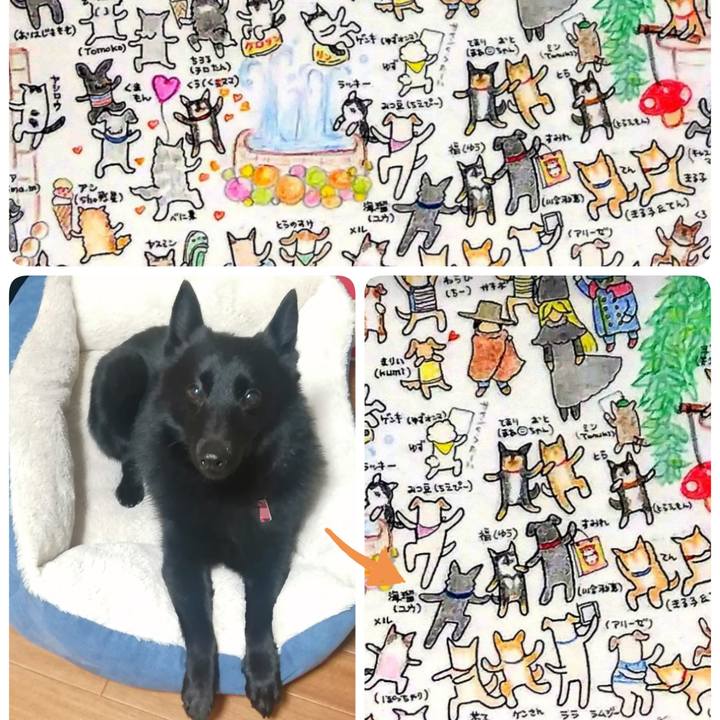 Acd56a90 0658 476b a968 f02814f78578 1703683042019