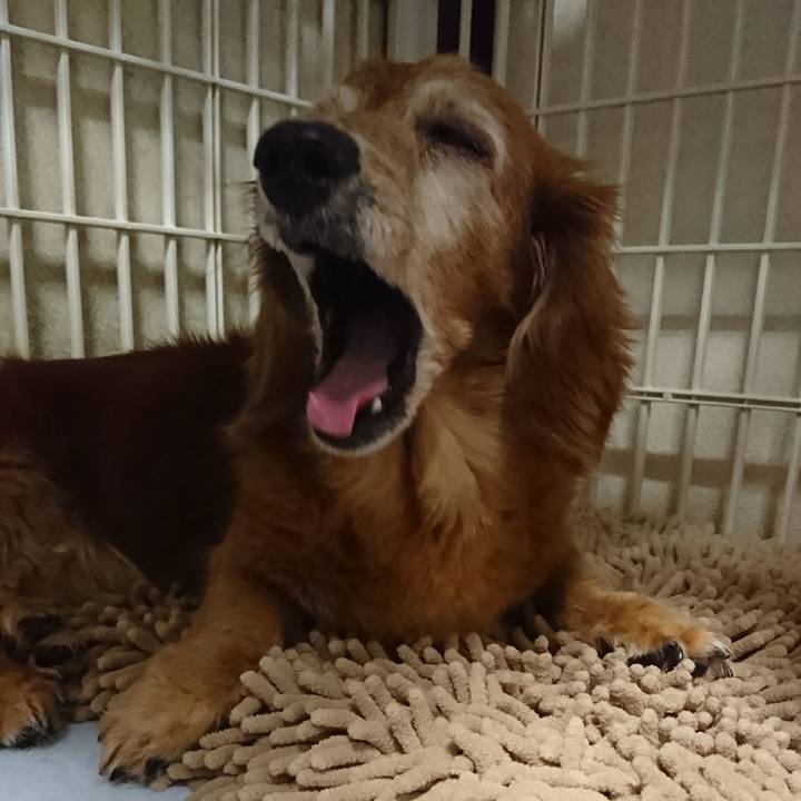 Acd57b8e aed5 4591 8a29 b8301a855ab3 1507770626555