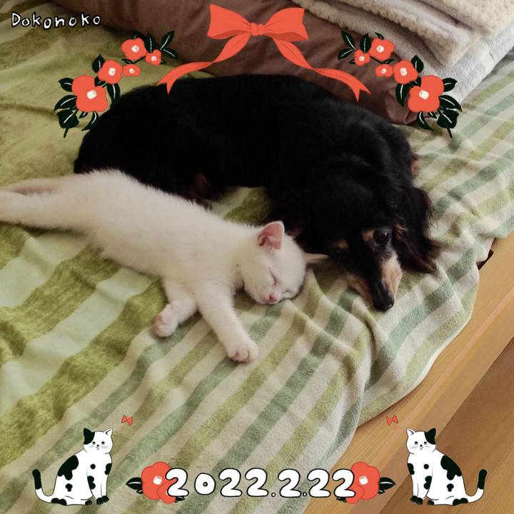 Acd58318 4150 444d 91ac 41586375af11 1645513456919