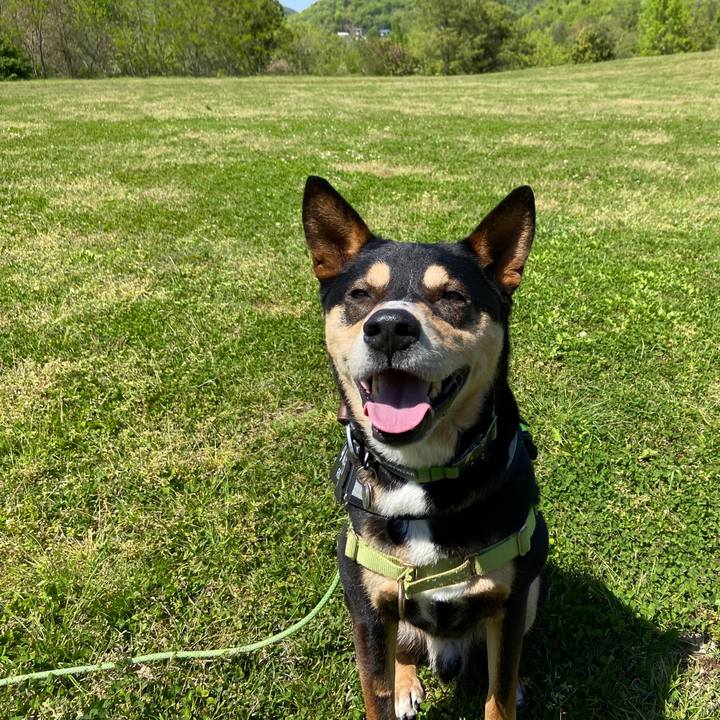 Acd5a73a bff7 44b2 a6a3 fce4d2327e0c 1682636921956