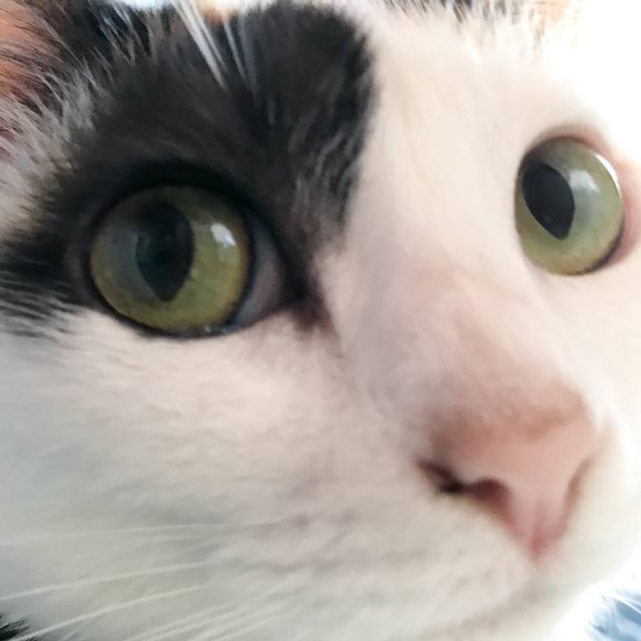 Acd5be78 3b5c 4f53 a226 3613999f1c54 1529761563534