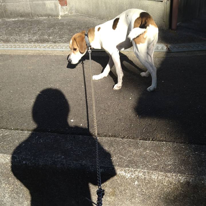 Acd61d7b acff 414d b24e e4a14050cbf0 1639032388322