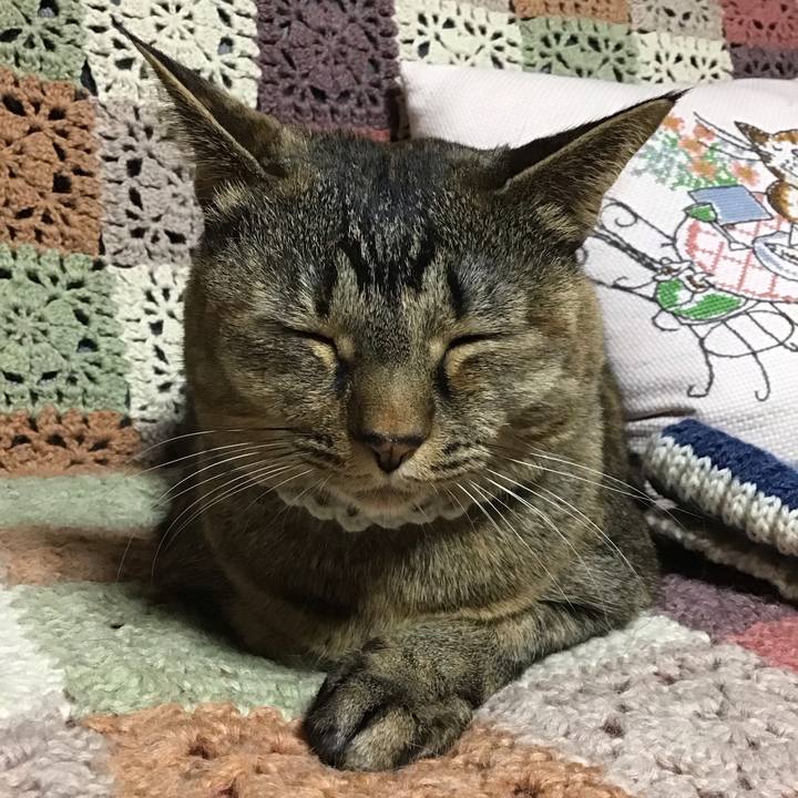 Acd61f28 a5cd 4757 9d10 a7e31da79de4 1737107397340