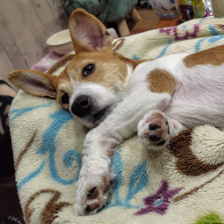 Acd6a775 5863 412a 82a8 cd72723aa192 1716040135362