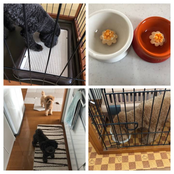 Acd6ce0e 3aaf 4f28 bcde b3bee0b9efa3 1583583394382