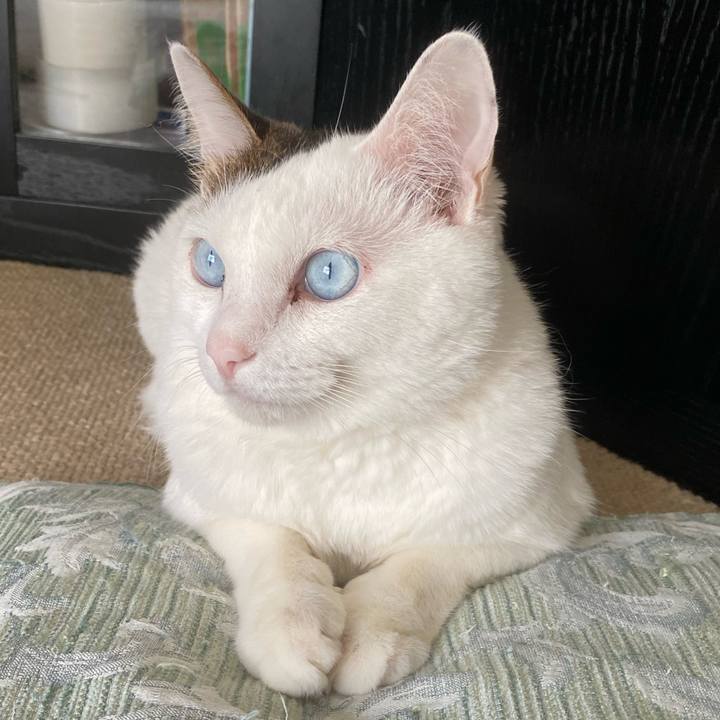 Acd70876 8589 4bef b130 2c7981e69edc 1663193845946