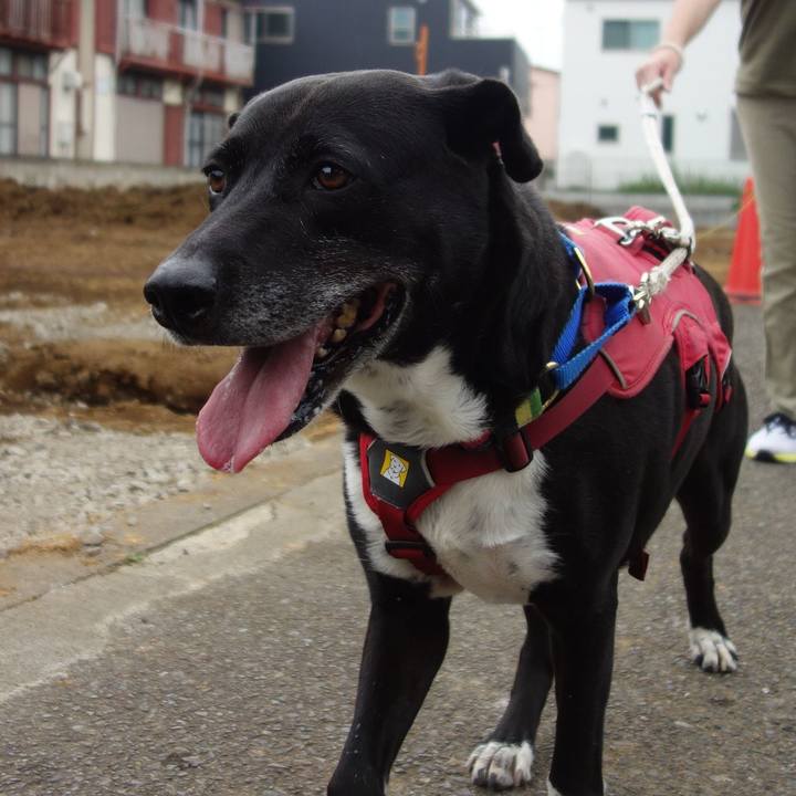 Acd70c5e a8c8 4f3d 9aa6 441fb73e8a0b 1687394645306