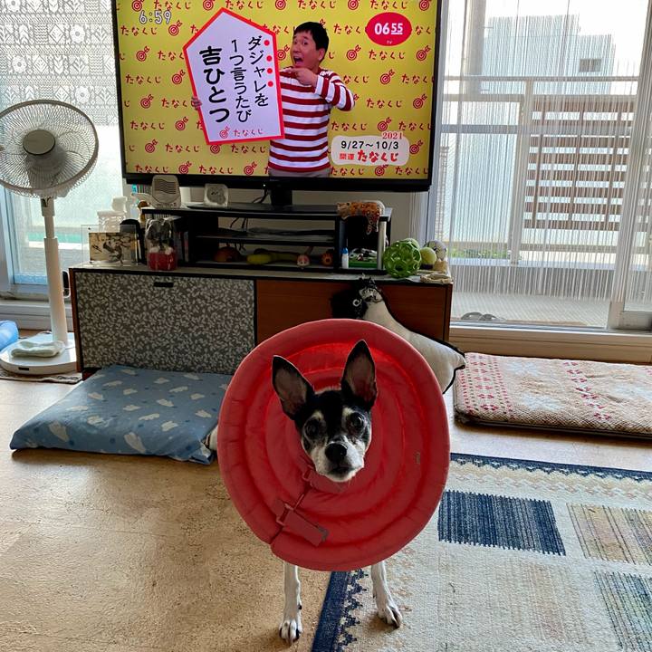 Acd71af7 c582 435f a679 d0c08654ab1d 1632694370694