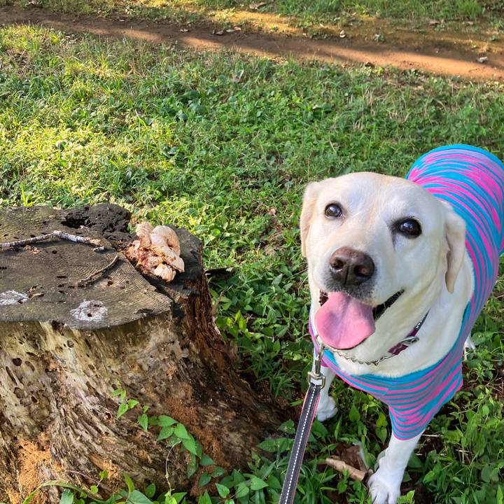 Acd734ed 6e37 43c1 8bd2 b976bb92f09c 1692248899831