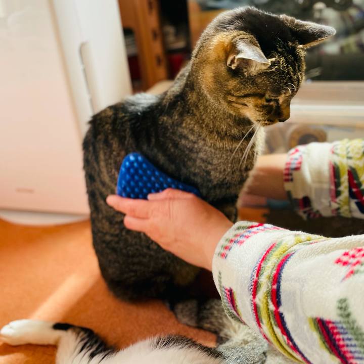 Acd7562e ae39 4f30 836c 671047764fee 1615168508633