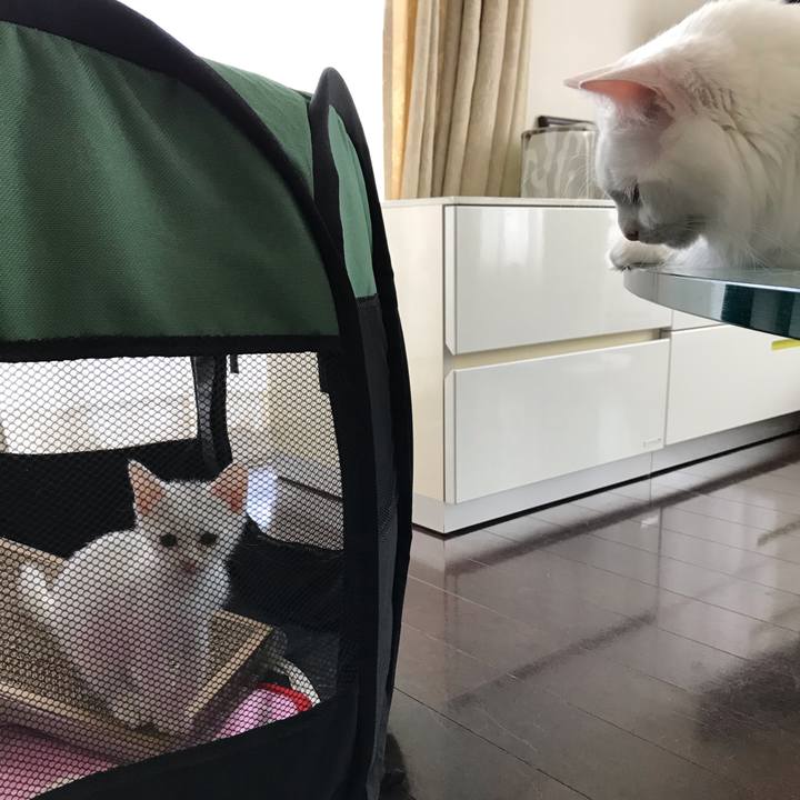 Acd76af1 1a28 43de 9c13 1a8eb8793ce4 1564372251360