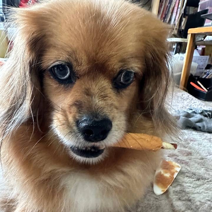 Acd7781d 9946 4687 99eb 8088c95fe8a4 1686440794990