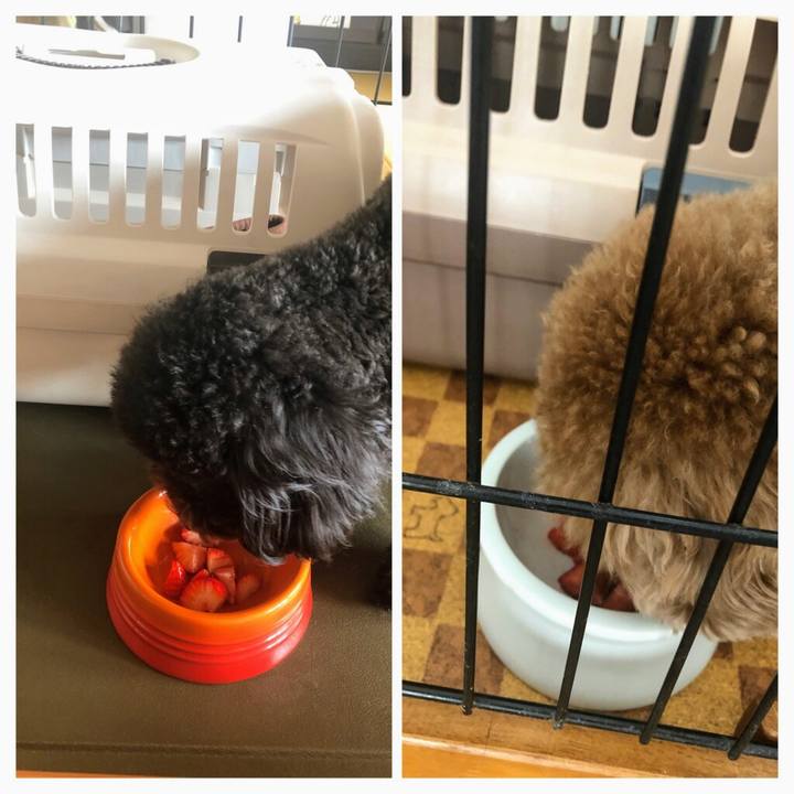 Acd7903c 7014 4486 bab5 8b5af75206d4 1580954631373