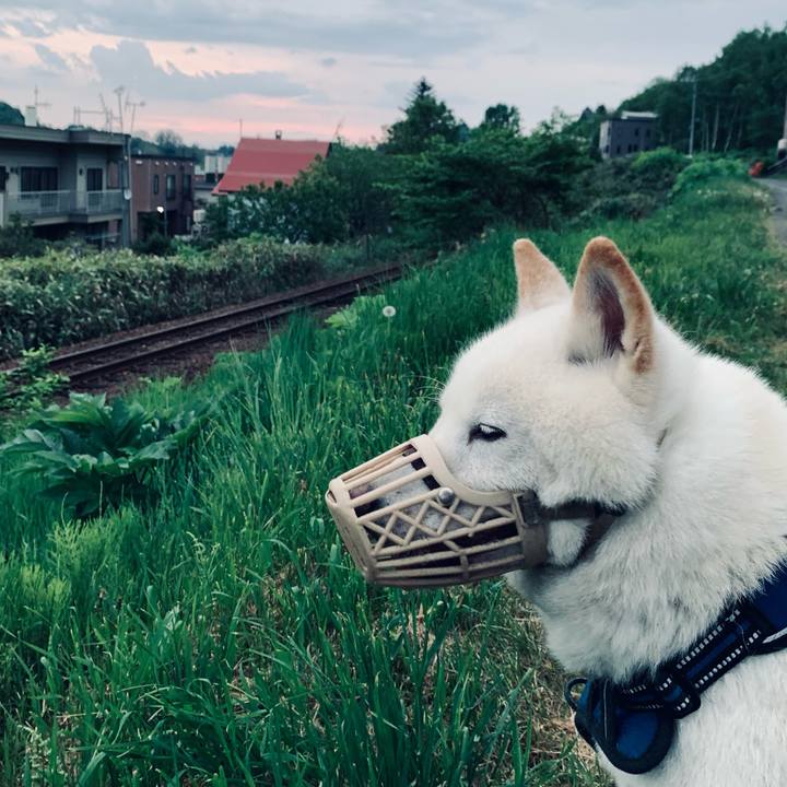 Acd7a02c c1db 41d8 9617 5f3ad0c9520e 1653595680012