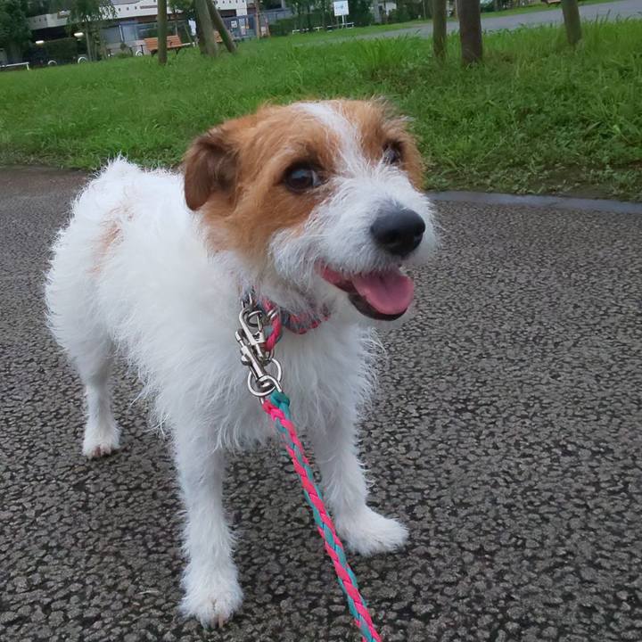 Acd7dd89 1e86 4010 b744 ebf9dfa780b4 1595929764574