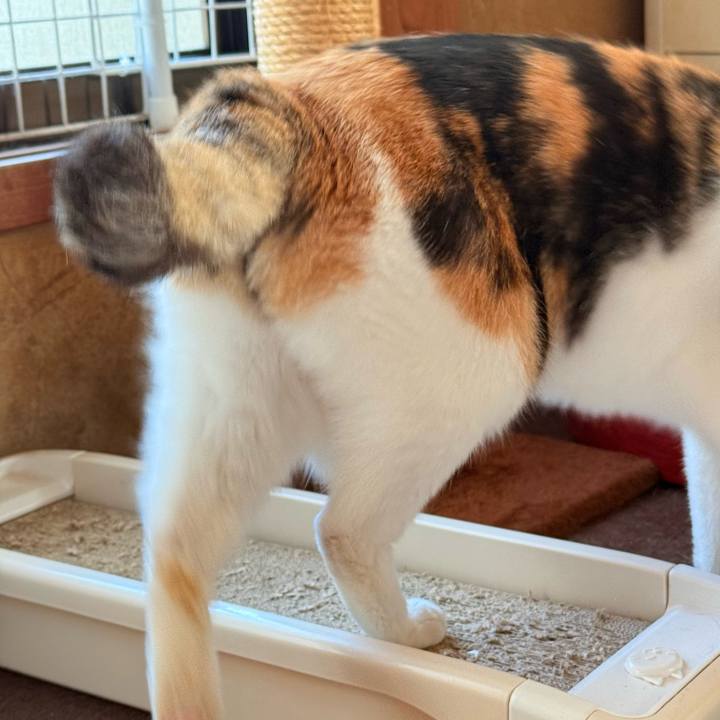 Acd82305 8444 4cad 903d 0474f160b858 1733105969907