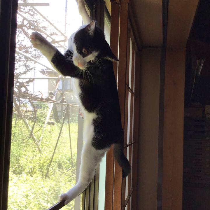 Acd875e5 19fd 448b 8bda af51bf221eef 1632214381074