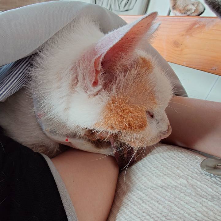 Acd8817d abcb 4cf1 bd82 97f6783de26a 1759367705079