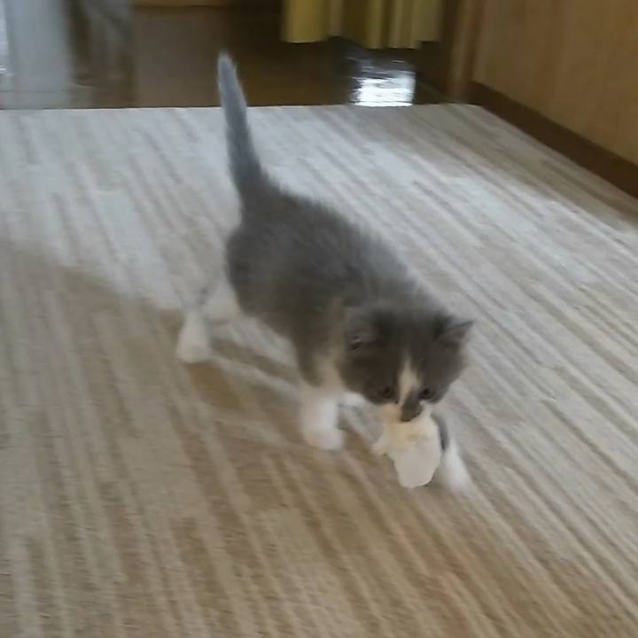 Acd8852b 22d3 44ad 9ee8 5169b9e24a1b 1559530653933