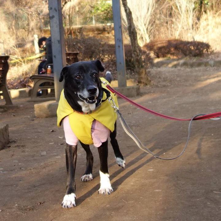 Acd89b9c 1a5e 4fec af4a 683baacbf273 1738802174446